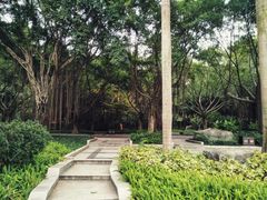 景点-南宁南湖公园