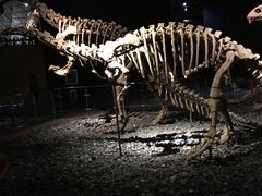 -世界恐龙谷景区