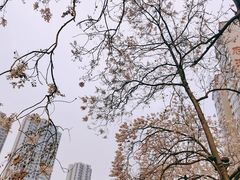 -红星桥(地铁站)