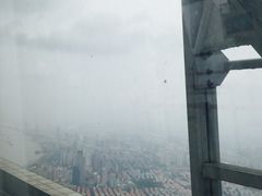 -东方明珠国际旅行社有限公司