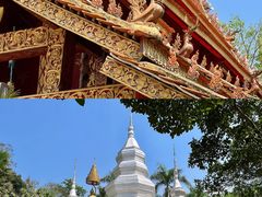 -西双版纳傣族园