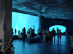 -海合安成都极地海洋公园