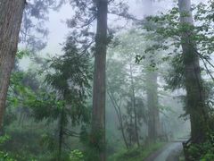 -东天目山风景区