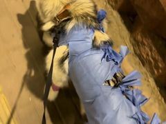 -宠颐生宠物医院·综合诊疗(先锋分院)