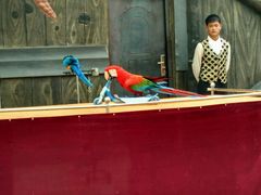 -辛玛王国游乐园