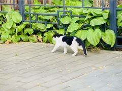 -萤火虫咖啡(后海店)