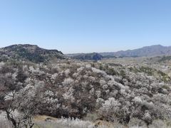-蟠龙山长城景区