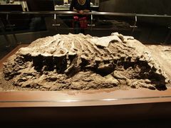 -世界恐龙谷景区