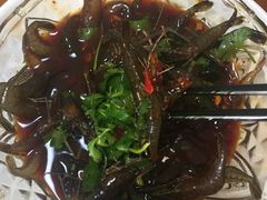 -全乐鱼馆·淳牌有机鱼直营店