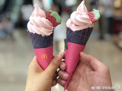 -麦当劳(利津路店)