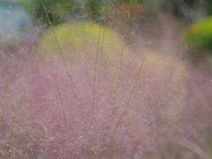 -常熟路(地铁站)