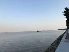 -大湾区中央湿地公园
