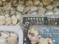 -和源祥·日照菜扛把子(万平口一店)