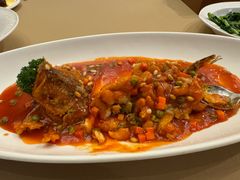 -圆苑(金茂店)