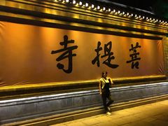 -台儿庄古城