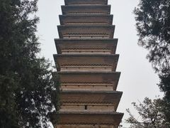 -洛阳白马寺