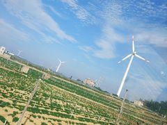 -六鳌翡翠湾滨海度假景区