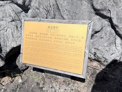 -千岛湖石林