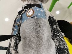 -佳雯宠物医院(四明中路分院)