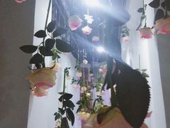 -苏州5D星空错觉艺术馆