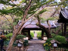-新高轮格兰王子大酒店