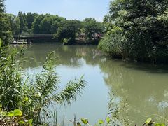 -梁鸿国家湿地公园