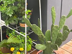 -Primo·丽莫意大利窑烤披萨