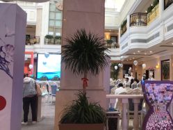-禾丽康美医疗美容医院