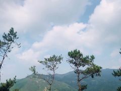 -国恩寺