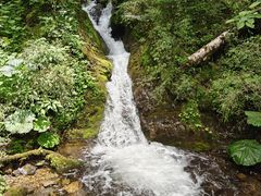 -神农架香溪源景区