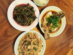 -田螺阿姨自营月嫂·育儿嫂(高新店)