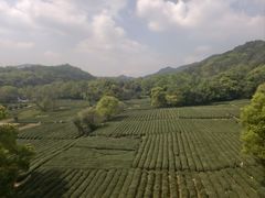 -灵顺寺