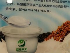 -德禄酸奶(莫家街店)