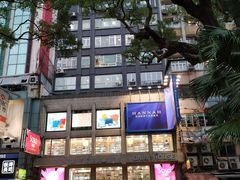 -九龙公园