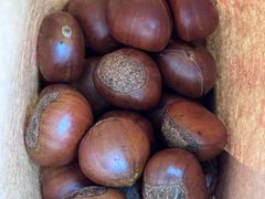 -秋栗香(地安门店)