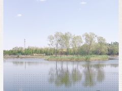 -大兴滨河森林公园