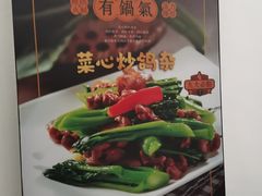 -大鸽饭(岗顶店)