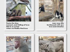 -灵玲国际马戏城