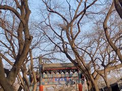 -北京国子监胡同