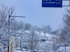 -四明山国家森林公园