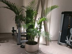 -YCHL FIT 健身(星寰店)