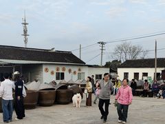 -苏州市吴中区光福窑上花果蜜饯厂