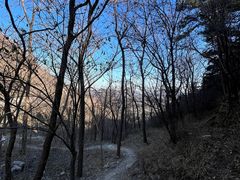 -北京西山国家森林公园