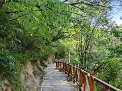 -大岭沟猕猴桃谷风景区