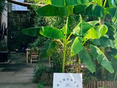 -Metal hands·铁手咖啡