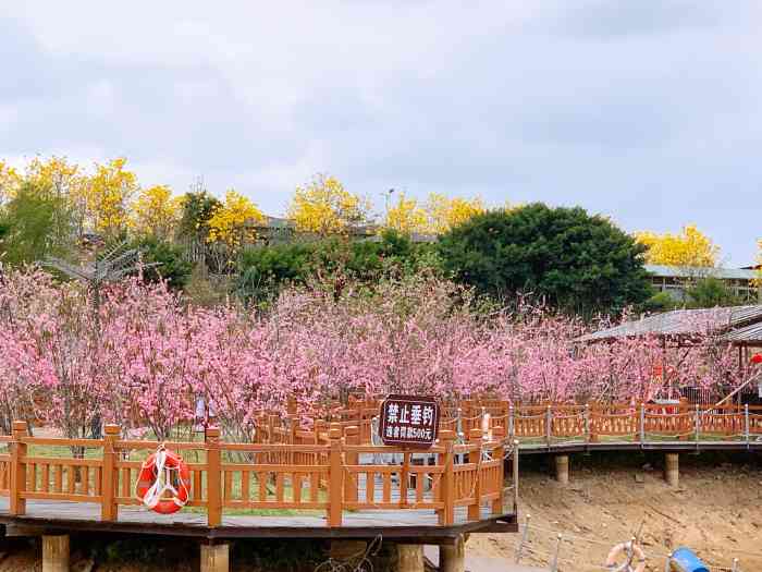 廉江市田園寨農業觀光園-