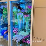 大良首家｜花艺咖啡店M Roser💐☕️