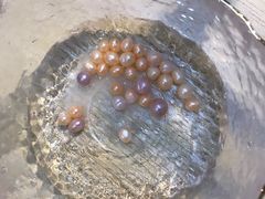 -Oasis绿洲银饰珍珠手作diy(壹方城店)