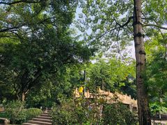 -晓港公园