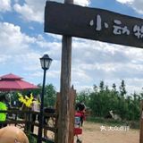 打卡绿野仙踪郊野乐园[胜利]